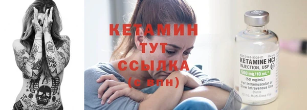 дживик Верхний Тагил