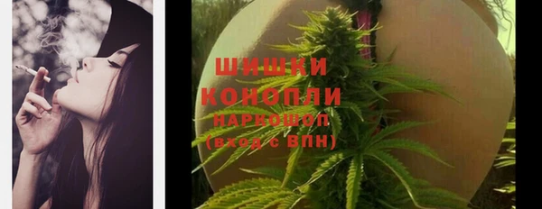дживик Верхний Тагил