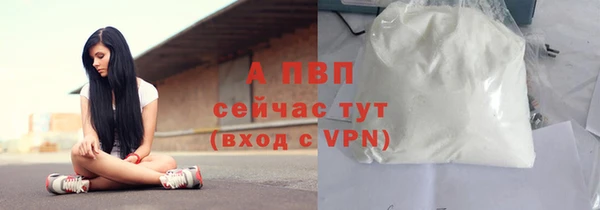 стаф Волосово