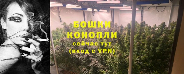 дживик Верхний Тагил