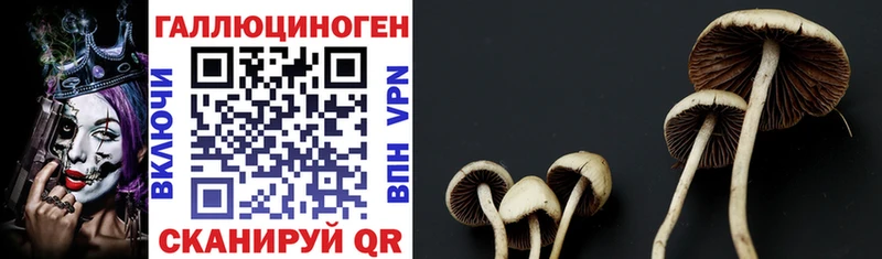 кракен ссылки  Воскресенск  Галлюциногенные грибы MAGIC MUSHROOMS  где можно купить  